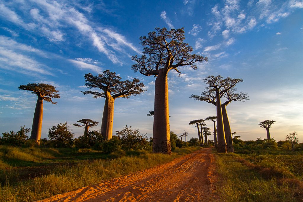 25.10.2019 Madagaskar Abenteuermuseum Saarbrücken